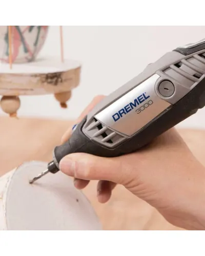 Багатофункціональний інструмент Dremel 3000 в кейсі (25 насадок) (F0133000JP)