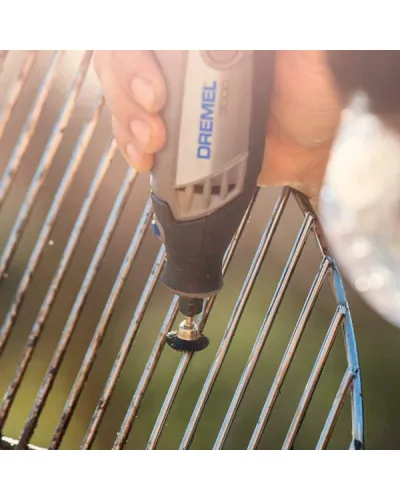 Багатофункціональний інструмент Dremel 3000 в кейсі (25 насадок) (F0133000JP)