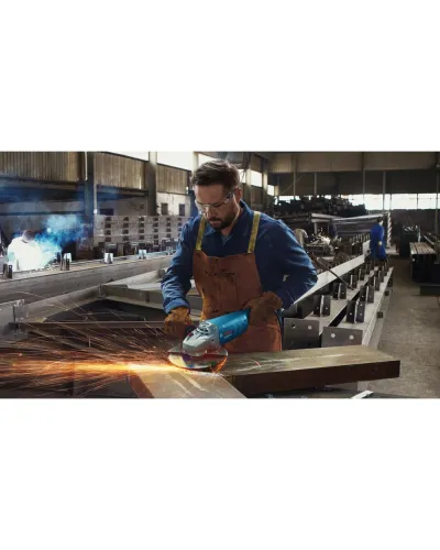 Кутова шліфувальна машина Bosch GWS 2200 Professional 2200 Вт, 230 мм (06018C1320)