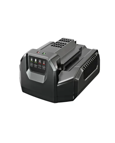 Зарядний пристрій EGO CH2100E (0220094013)