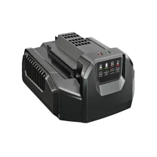 Зарядний пристрій EGO CH2100E (0220094013)
