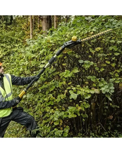 Кущоріз акумуляторний безщітковий зі штангою DeWALT DCMPH566P1