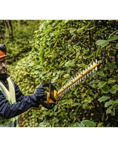 Кущоріз акумуляторний безщітковий зі штангою DeWALT DCMPH566P1
