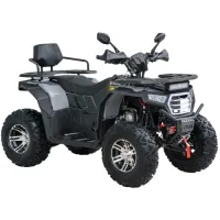 Квадроцикл SP200-11Е